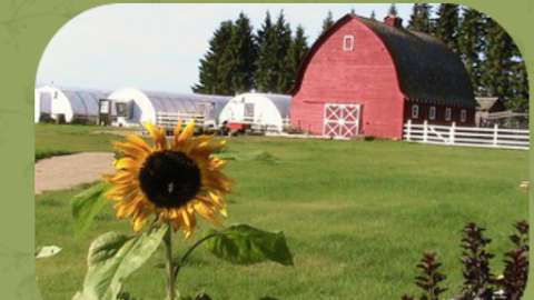 The Planted Earth Greenhouses